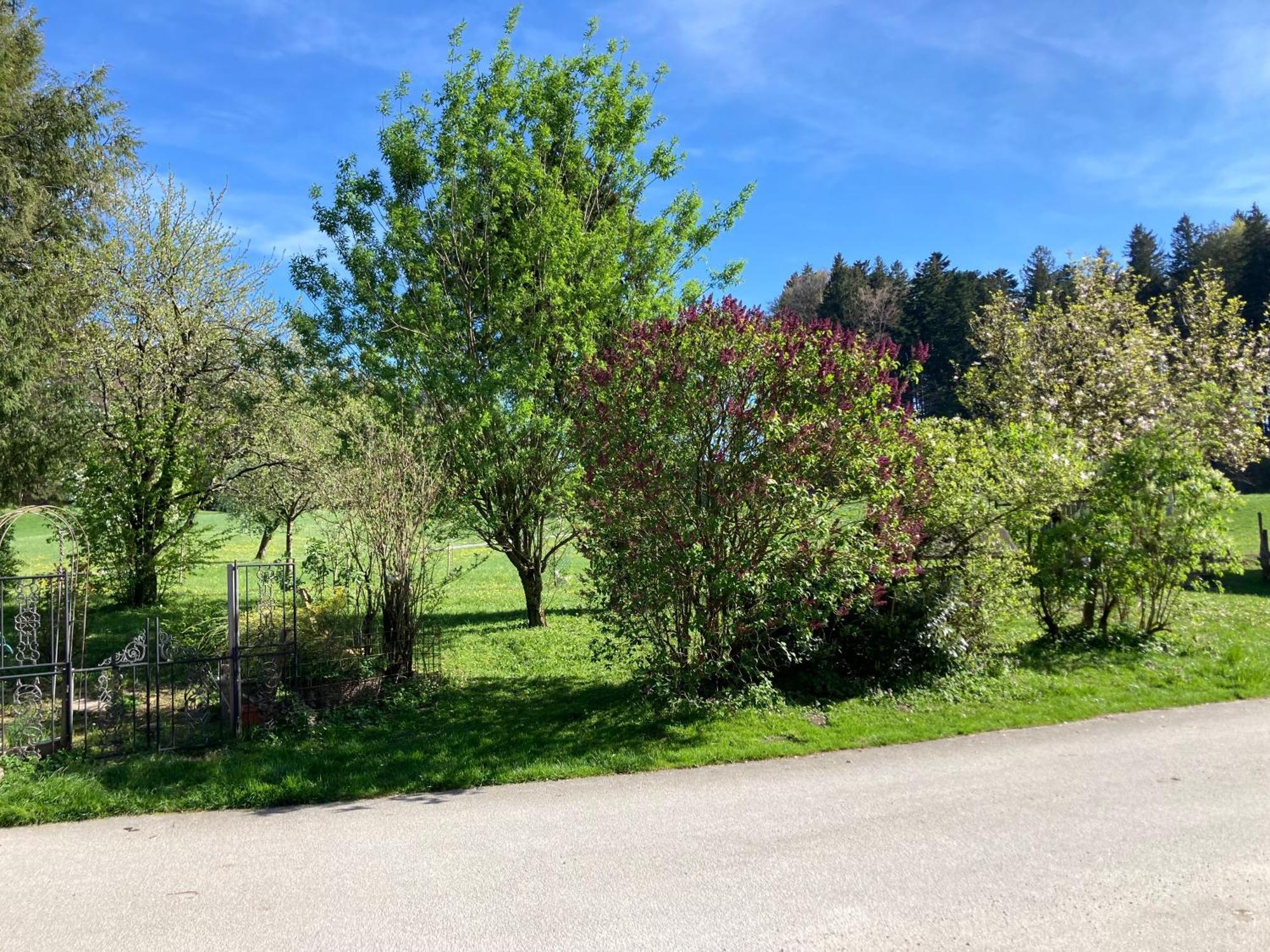 Obereggut Διαμέρισμα Hof bei Salzburg Εξωτερικό φωτογραφία